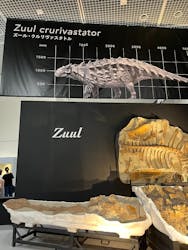 大阪市立自然史博物館に投稿された画像（2023/9/23）