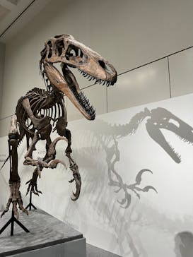 大阪市立自然史博物館に投稿された画像（2023/9/23）