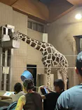 天王寺動物園に投稿された画像（2023/9/23）