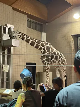 天王寺動物園に投稿された画像（2023/9/23）