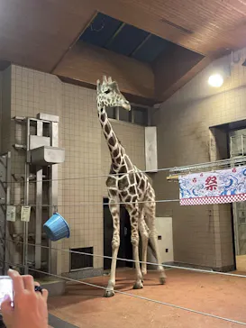 天王寺動物園に投稿された画像（2023/9/23）