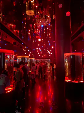 マクセル アクアパーク品川に投稿された画像（2023/9/23）