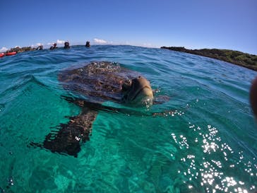 宮古島 ADVENTURE PiPi（ミヤコジマ アドベンチャー ピピ）に投稿された画像（2023/9/23）