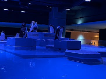 AOAO SAPPOROに投稿された画像（2023/9/23）