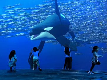 AOAO SAPPOROに投稿された画像（2023/9/23）