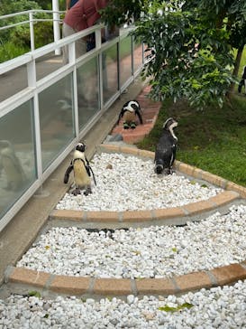 マリンワールド海の中道に投稿された画像（2023/9/23）