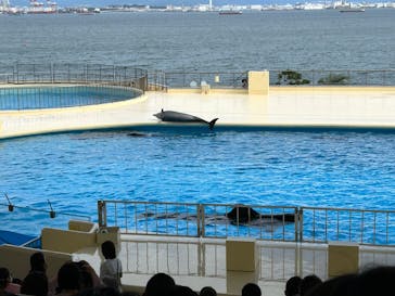 マリンワールド海の中道に投稿された画像（2023/9/23）