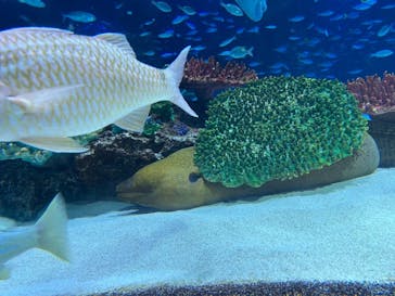 サンシャイン水族館に投稿された画像（2023/9/23）