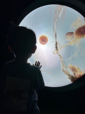 サンシャイン水族館に投稿された画像（2023/9/23）