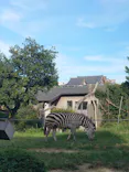 天王寺動物園に投稿された画像（2023/9/24）