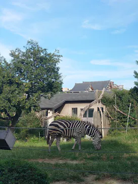 天王寺動物園に投稿された画像（2023/9/23）