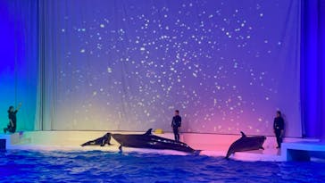 アクアワールド茨城県大洗水族館に投稿された画像（2023/9/23）