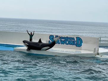 鴨川シーワールドに投稿された画像（2023/9/23）