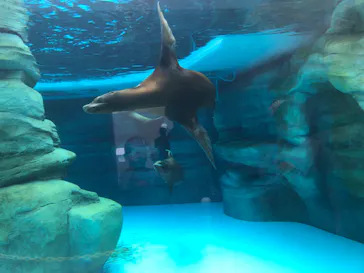 天王寺動物園に投稿された画像（2023/9/23）