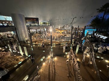 福井県立恐竜博物館に投稿された画像（2023/9/24）