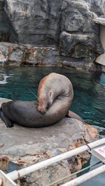 鴨川シーワールドに投稿された画像（2023/9/24）