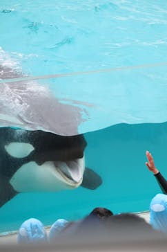 鴨川シーワールドに投稿された画像（2023/9/24）