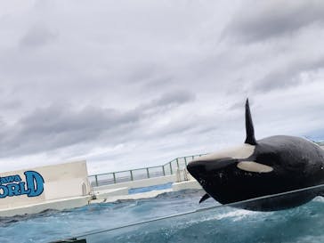 鴨川シーワールドに投稿された画像（2023/9/24）