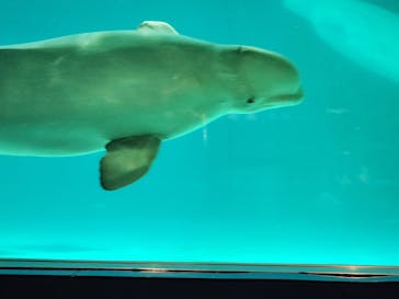 鴨川シーワールドに投稿された画像（2023/9/24）