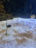 名古屋港水族館に投稿された画像（2023/9/24）