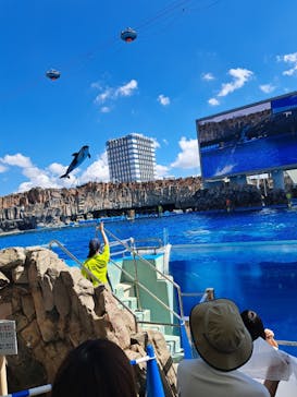 名古屋港水族館に投稿された画像（2023/9/24）