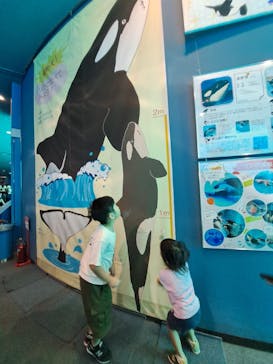 名古屋港水族館に投稿された画像（2023/9/24）