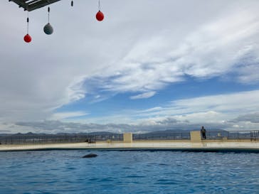 マリンワールド海の中道に投稿された画像（2023/9/24）