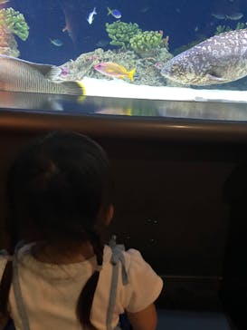 マリンワールド海の中道に投稿された画像（2023/9/24）