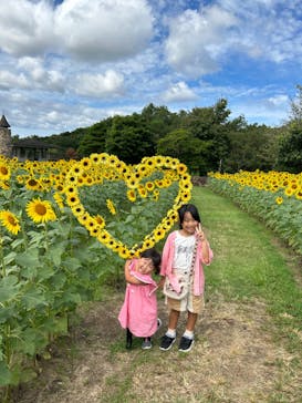 淡路ファームパーク イングランドの丘に投稿された画像（2023/9/24）