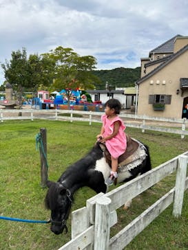 淡路ファームパーク イングランドの丘に投稿された画像（2023/9/24）