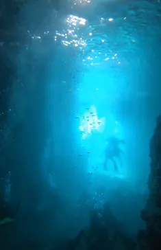 武藤潜水に投稿された画像（2023/9/24）