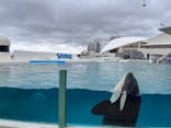 鴨川シーワールドに投稿された画像（2023/9/24）