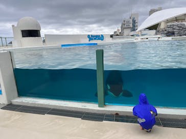 鴨川シーワールドに投稿された画像（2023/9/24）