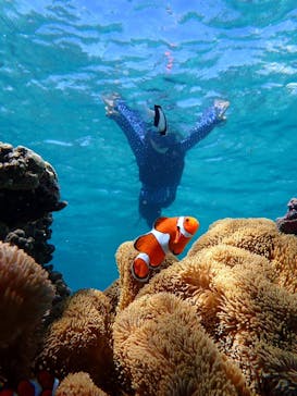 宮古島 ADVENTURE PiPi（ミヤコジマ アドベンチャー ピピ）に投稿された画像（2023/9/24）