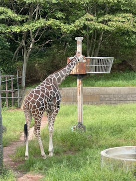 千葉市動物公園に投稿された画像（2023/9/24）