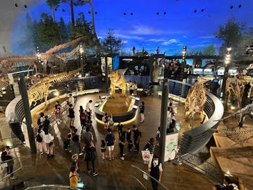 福井県立恐竜博物館に投稿された画像（2023/9/24）