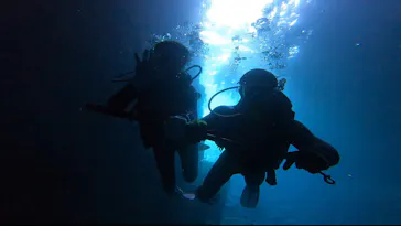 武藤潜水に投稿された画像（2023/9/24）