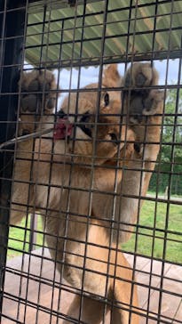 那須サファリパークに投稿された画像（2023/9/24）