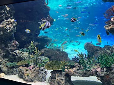サンシャイン水族館に投稿された画像（2023/9/24）