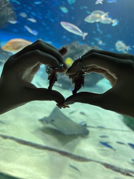 サンシャイン水族館に投稿された画像（2023/9/24）