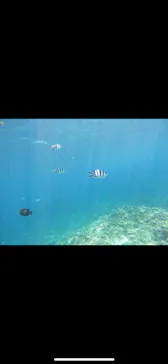 武藤潜水に投稿された画像（2023/9/24）