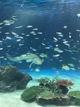 サンシャイン水族館に投稿された画像（2023/9/24）