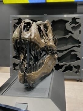 福井県立恐竜博物館に投稿された画像（2023/9/24）