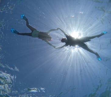 宮古島 ADVENTURE PiPi（ミヤコジマ アドベンチャー ピピ）に投稿された画像（2023/9/24）