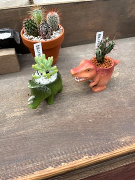 伊豆シャボテン動物公園に投稿された画像（2023/9/24）