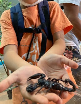 いきもの探検隊上尾に投稿された画像（2023/9/24）