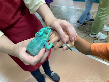 いきもの探検隊上尾に投稿された画像（2023/9/24）