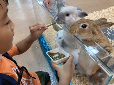 いきもの探検隊上尾に投稿された画像（2023/9/24）