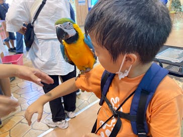 いきもの探検隊上尾に投稿された画像（2023/9/24）