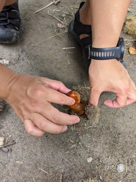 農業公園信貴山のどか村に投稿された画像（2023/9/24）